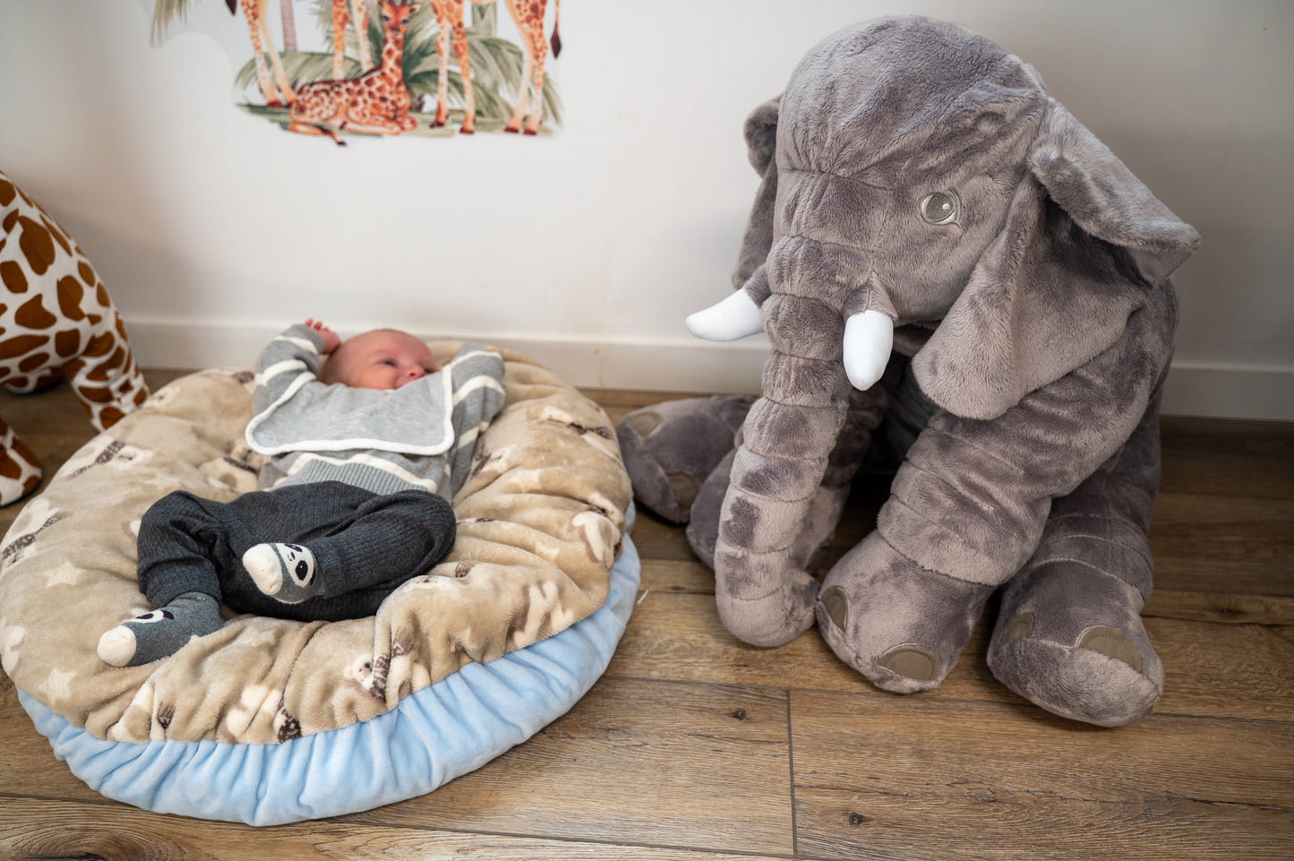 Œuf Cocon Bleu & Beige Motif Ourson